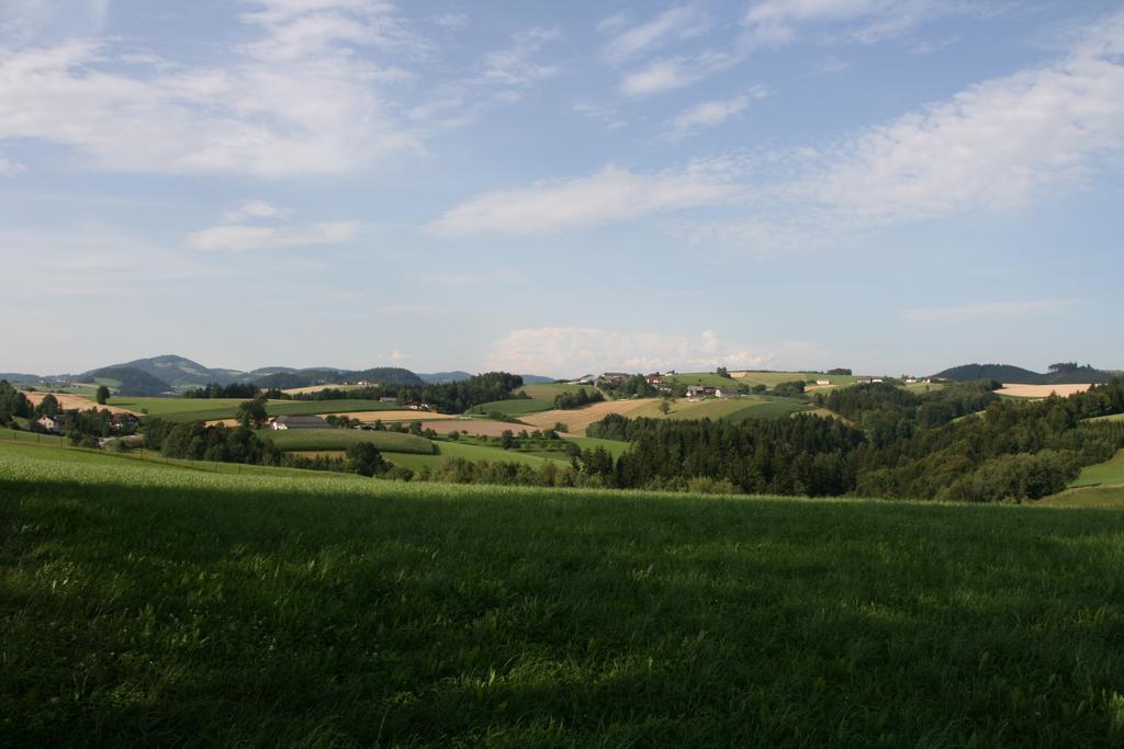 Kirchenwirt Inn Kreuzen  외부 사진